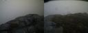 ./images/calvert/buxton2/20140414/buxton220140414_113502M.jpg