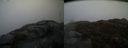 ./images/calvert/buxton2/20140414/buxton220140414_144003M.jpg