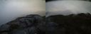 ./images/calvert/buxton2/20140415/buxton220140415_072502M.jpg
