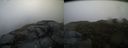 ./images/calvert/buxton2/20140417/buxton220140417_080502M.jpg