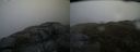./images/calvert/buxton2/20140503/buxton220140503_083502M.jpg
