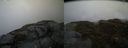 ./images/calvert/buxton2/20140509/buxton220140509_114503M.jpg