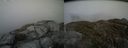 ./images/calvert/buxton2/20140511/buxton220140511_180003M.jpg
