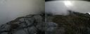 ./images/calvert/buxton2/20140517/buxton220140517_131503M.jpg