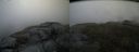 ./images/calvert/buxton2/20140524/buxton220140524_175003M.jpg