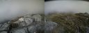 ./images/calvert/buxton2/20140531/buxton220140531_172503M.jpg