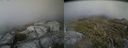 ./images/calvert/buxton2/20140531/buxton220140531_175501M.jpg