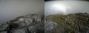 ./images/calvert/buxton2/20140531/buxton220140531_181002M.jpg