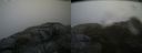 ./images/calvert/buxton2/20140608/buxton220140608_130003M.jpg