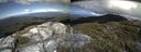 ./images/calvert/buxton2/20140610/buxton220140610_162502M.jpg