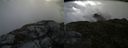 ./images/calvert/buxton2/20140704/buxton220140704_093503M.jpg