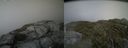 ./images/calvert/buxton2/20140716/buxton220140716_180503M.jpg
