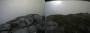 ./images/calvert/buxton2/20140720/buxton220140720_100503M.jpg