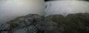 ./images/calvert/buxton2/20140724/buxton220140724_150003M.jpg