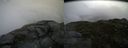./images/calvert/buxton2/20140725/buxton220140725_110502M.jpg