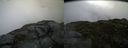./images/calvert/buxton2/20140725/buxton220140725_114003M.jpg