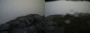 ./images/calvert/buxton2/20140826/buxton220140826_074002M.jpg