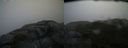 ./images/calvert/buxton2/20140826/buxton220140826_085504M.jpg