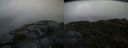./images/calvert/buxton2/20141004/buxton220141004_080002M.jpg
