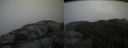 ./images/calvert/buxton2/20141007/buxton220141007_145004M.jpg