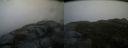 ./images/calvert/buxton2/20141121/buxton220141121_150304M.jpg