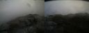 ./images/calvert/buxton2/20150119/buxton220150119_090302M.jpg