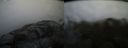 ./images/calvert/buxton2/20150125/buxton220150125_100303M.jpg
