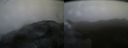 ./images/calvert/buxton2/20150219/buxton220150219_080303M.jpg