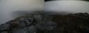 ./images/calvert/buxton2/20150225/buxton220150225_113503M.jpg