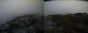 ./images/calvert/buxton2/20150305/buxton220150305_081003M.jpg