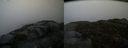 ./images/calvert/buxton2/20150305/buxton220150305_090503M.jpg