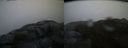 ./images/calvert/buxton2/20150309/buxton220150309_082004M.jpg