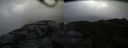 ./images/calvert/buxton2/20150319/buxton220150319_122003M.jpg