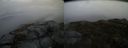 ./images/calvert/buxton2/20150325/buxton220150325_112504M.jpg