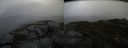 ./images/calvert/buxton2/20150325/buxton220150325_171004M.jpg