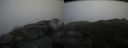 ./images/calvert/buxton2/20150327/buxton220150327_140503M.jpg