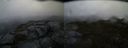 ./images/calvert/buxton2/20150410/buxton220150410_081003M.jpg