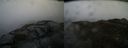 ./images/calvert/buxton2/20150410/buxton220150410_092503M.jpg