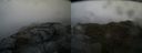 ./images/calvert/buxton2/20150410/buxton220150410_093003M.jpg