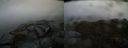 ./images/calvert/buxton2/20150410/buxton220150410_114003M.jpg