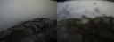 ./images/calvert/buxton2/20150410/buxton220150410_132502M.jpg