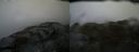./images/calvert/buxton2/20150410/buxton220150410_144004M.jpg