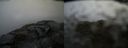 ./images/calvert/buxton2/20150410/buxton220150410_144503M.jpg