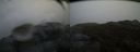 ./images/calvert/buxton2/20150417/buxton220150417_091002M.jpg