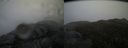 ./images/calvert/buxton2/20150423/buxton220150423_161503M.jpg