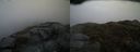 ./images/calvert/buxton2/20150429/buxton220150429_141502M.jpg