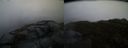 ./images/calvert/buxton2/20150430/buxton220150430_063504M.jpg