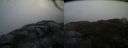 ./images/calvert/buxton2/20150504/buxton220150504_194004M.jpg