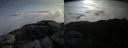 ./images/calvert/buxton2/20150511/buxton220150511_090003M.jpg