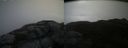 ./images/calvert/buxton2/20150525/buxton220150525_083503M.jpg